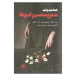 کتاب شناخت و نقد شعر پسامدرن آمریکا اثر مارجری پرلوف و البرت گلپی نشر نگاه