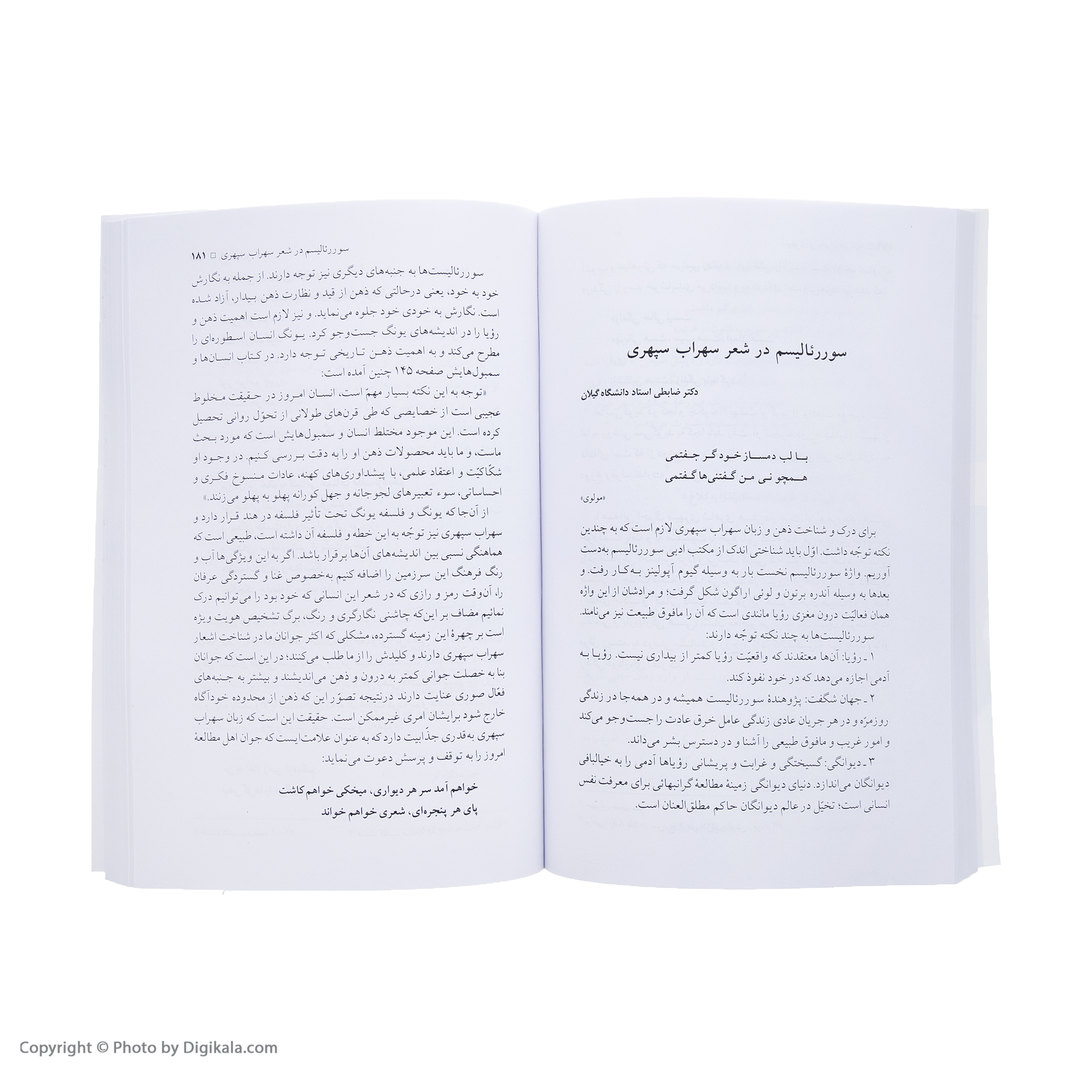 کتاب باغ تنهایی یادنامه سهراب سپهری اثر حمید سیاهپوش نشر نگاه