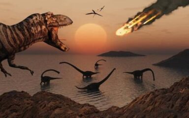 کشف انقراض دایناسور ها با هوش مصنوعی-نهایت خرید